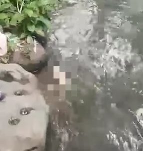 Viral Video Mayat Bayi Ditemukan Mengambang di Sungai Mojogeneng Jatirejo