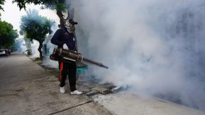 Dalam 6 Bulan Ada 1.282 Orang yang Terjangkit Chikungunya di Mojokerto