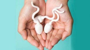 Minum Sperma Suami, Bisa Cegah Covid-19, Fakta atau Hoax? Simak Penjelasannya