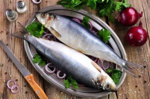 Simak! Ini 4 Manfaat Ikan Untuk Kesehatan Tubuh