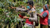 Menanam Kopi Tingkatkan Kesejahteraan Masyarakat Puncak Jaya