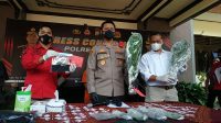 Petani Ganja Asal Lumajang Ditangkap Tim Satnarkoba Polres Malang