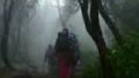 Pencari Biji Kopi Hilang di Hutan Cungkup, Butuh Bantun Tim SAR
