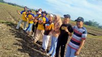 PT. MHD Joyo Tanam Benih Jagung di Lahan 3,5 hektar di Desa Clumprit