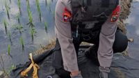 Pencari Rumput Temukan Mortir Aktif di Kali Sukun Kepanjen