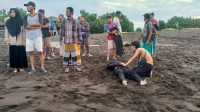 Tim SAR Berhasil Temukan 11 Jenasah Peserta Ritual di Pantai Payangan Jember dan 13 Orang Selamat