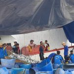 Tolak Penghapusan Pangkalan di Muara Baru, Ribuan Nelayan & Pelaku Usaha Hentikan Operasional Perikanan