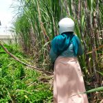 Tembok Pagar PT Lesaffre Memakan Lahan Warga Desa Gading Bululawang, Warga Meeminta Ukur Ulang
