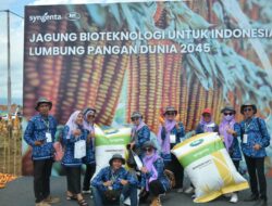 Pertama Diluncurkan di Indonesia, Benih Jagung Bioteknologi Dengan Keunggalan Ganda
