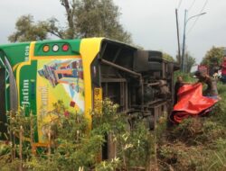 Hindari Pemotor, Bus Trans Jatim Terguling di Hutan Dawar Blandong