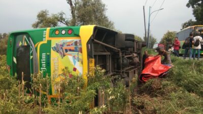Hindari Pemotor, Bus Trans Jatim Terguling di Hutan Dawar Blandong