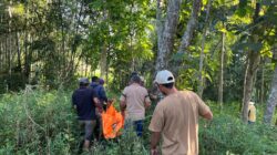Polisi Evakuasi Mayat Seorang Lelaki Yang Gantung Diri di Sebuah Pohon