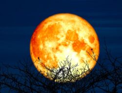 Supermoon Terjadi Hari Ini, Fenomena Langka yang Menakjubkan