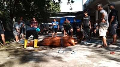 Screenshot_20250607_111231_Gallery